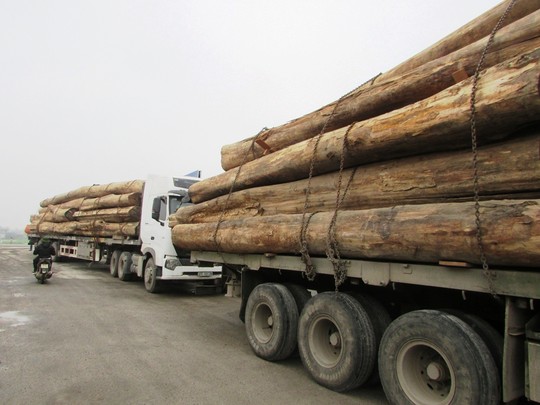 Các xe gỗ chở quá tải từ 20-51%.